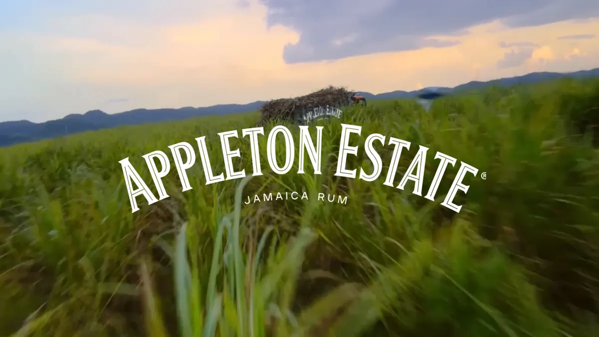 Appleton Estate, Land on the Extraordinary